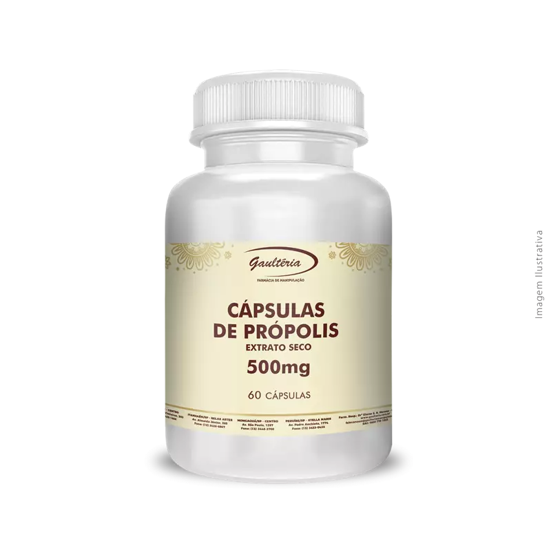 Cápsulas de Própolis Extrato Seco 500mg 60 cápsulas 