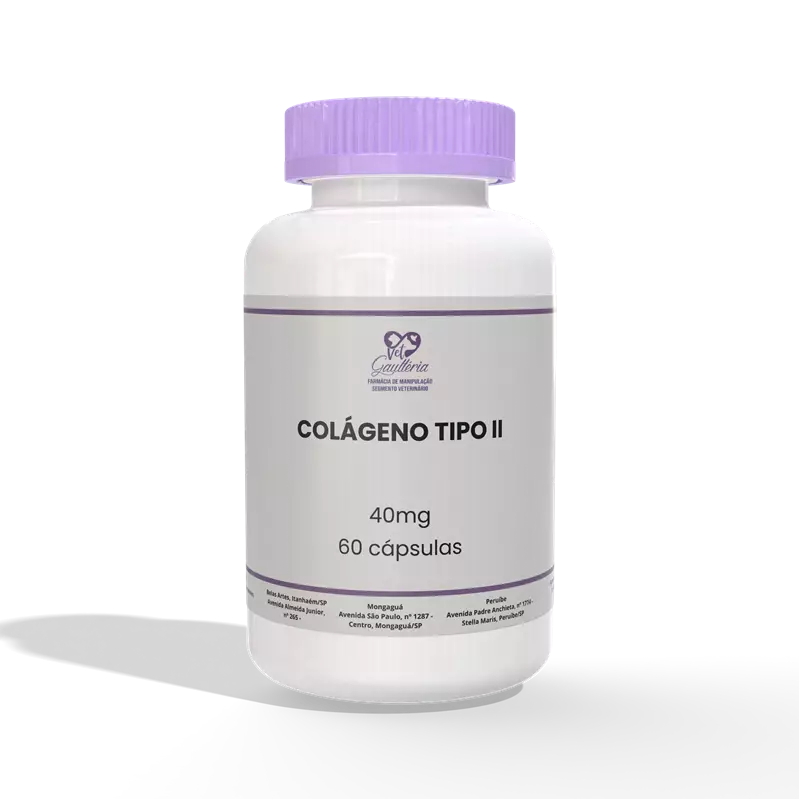 COLÁGENO TIPO II 40mg - 60Caps