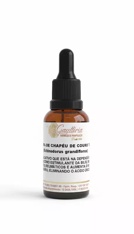 TINTURA DE CHAPÉU DE COURO