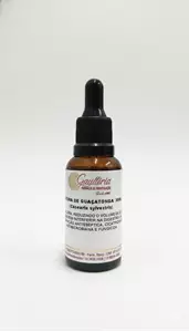 TINTURA DE GUAÇATONGA  