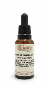        TINTURA DE TANCHAGEM  